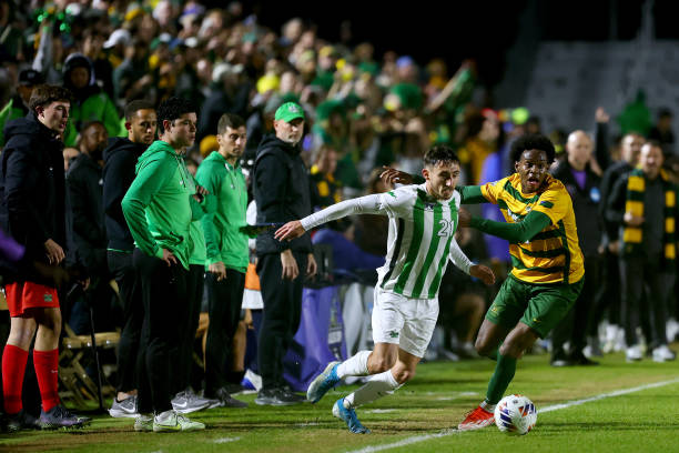 尔基的价值 尔基的价值